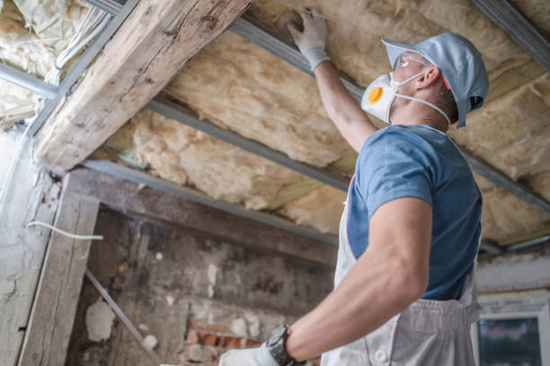 Best Geographic-Specific Insulation Services in Hartshorne, OK